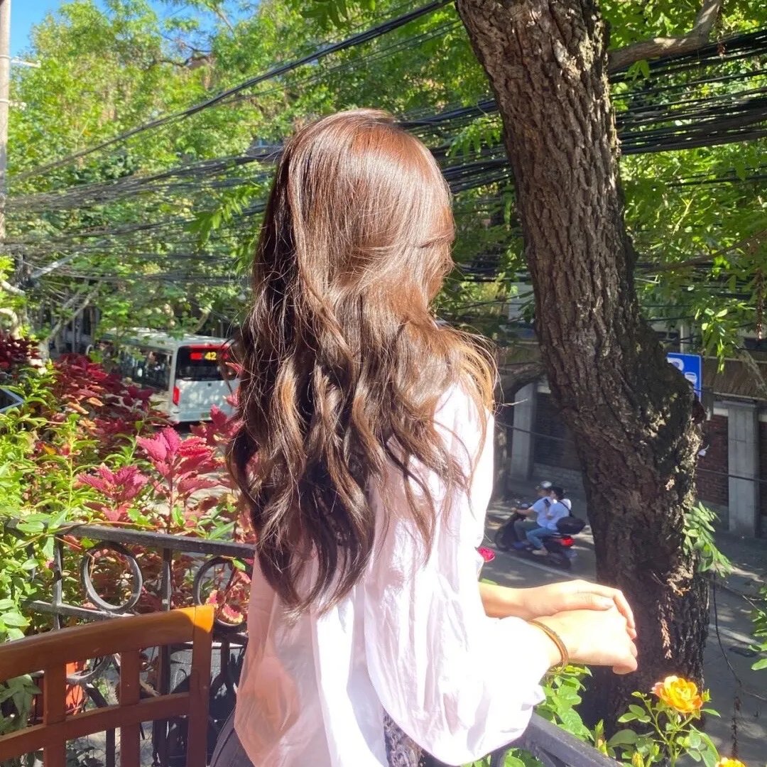 红槐花